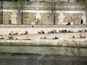  Etendus au soleil au bord de la Seine